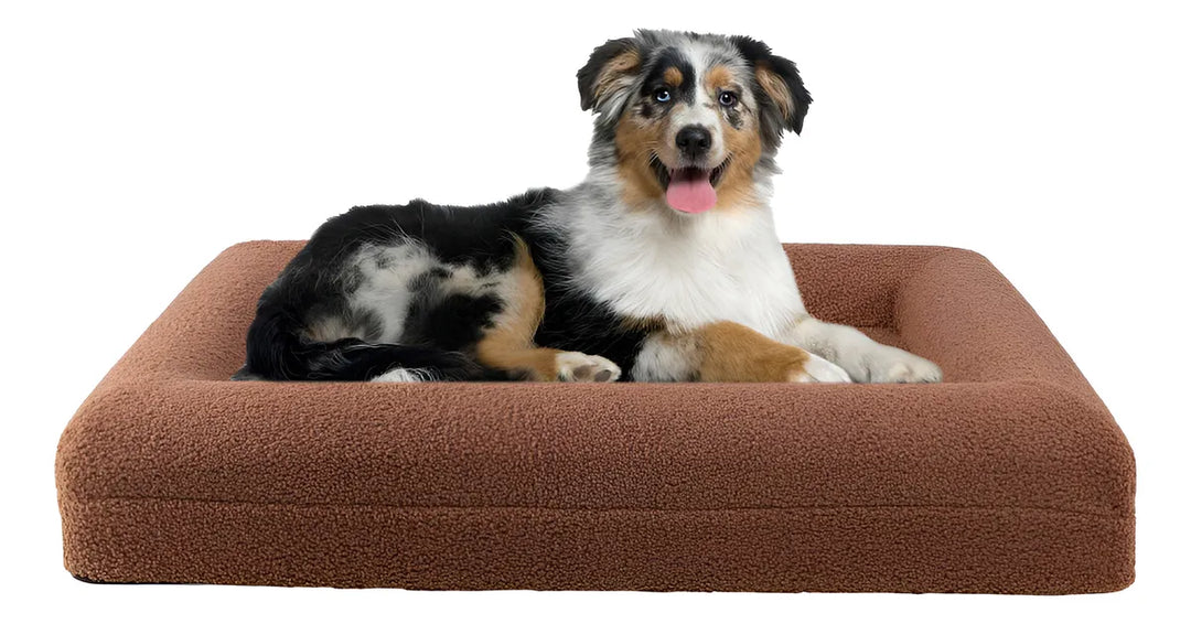 Orthopedic Comfort Dog Bed  - Rest, Relief, and Real Comfort.
